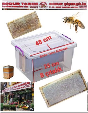 8 Cıtalık 48 X 25  Arı  Balı Taşıma Sandığı  Şeffaf 1. kalite Plastık sandık 