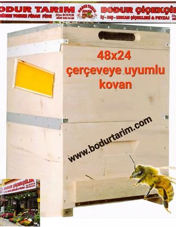 ARI KOVANI 48x24 Olan Çerçevelere Uyumlu Hafif Ladin Ağacı 2 katlı ARI KOVANI